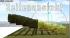 Bergwald Nadelb�ume Sommer - Panorama (4)