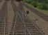 Normalspur BW und Bahnhofs DRG/DB/DR Weichensystem DKW 54-190-1:9H Hand (2)