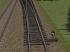 Normalspur Weichen elektrisch DR EW54-500-1:12-HOLZ-DUNKEL (1)