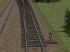 Normalspur Weichen mechanisch DR EW54-500-1:12-HOLZ-DUNKEL (3)