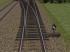 Normalspur Weichen DR_elektrischer - Antrieb EW54-300-1:9-HOLZ-DUNKEL (3)