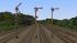 Schmalmast-Fl�gelsignale der DB mit ZS101 (2)