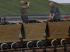 F�rderwagen aus Holz (600mm) (1)