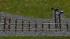 600mm Feldbahnweiche (EW R30, ABW R30, ABW R20) (1)