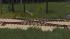 Weichenkombinationen (600 mm) (1)