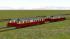 Triebwagen, Schmalspur, HSB 187 016 bis 019 (1)