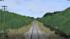 LBE 03 | L�beck B�chener Eisenbahn | Gesamtanlage (3)