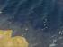 Kinematisch animierte Elemente / Meer-Set 1 (3)
