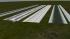 Stra�enset Einspurig - Schnee (4)