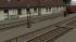 Bahnsteige, Laderampe und Betonplattenweg (3)