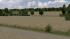 Weizenfelder (4)