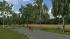 Birken (1)