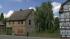 Birken (3)