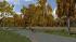 Herbstbirken (1)