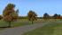 Herbstliche Linden, Kirschb�ume und Pappeln (1)
