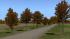 Herbstliche Linden, Kirschb�ume und Pappeln (2)