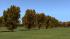 Herbstliche Linden, Kirschb�ume und Pappeln (4)