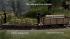 Feldbahnwagen, neue Bauart, gebremst, beladbar (600mm) (2)