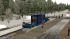 Container Tragwagen, Schmalspur und ein 20 Fu� Container (4)