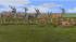 Savannentiere - Set 1 (1)