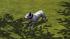 Hunde-Set - Bull Terrier (1)