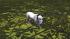 Hunde-Set - Bull Terrier (3)