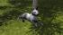 Hunde-Set - Bull Terrier (4)