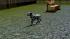 Hunde-Set - Dalmatiner (3)