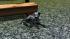 Hunde-Set - Dalmatiner (4)