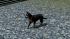 Hunde-Set - Husky (1)