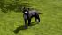 Hunde-Set - Pitbull (1)
