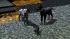 Hunde-Set - Sparset (2)