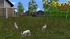 animierter Hase (1)