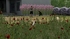 animierter Hase (2)