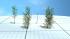 Vegetations Set (4)