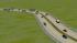Stra�ensplines in Betonplattenoptik (2)