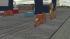 Container Ladebr�cke 1 (2)