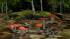 Pilz-Sortiment Set 1 (1)