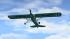 Fieseler Storch D-EKLU (2)