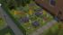 Blumen (Garten Set 5 (Kostenlos)) (1)