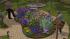 Blumen (Garten Set 5 (Kostenlos)) (4)