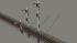 Hauptsignalset (2 fl�gelig) mit Negativfl�gel und Mastanstrich, in 3 H�hen (2)