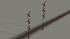 Hauptsignalset (3 fl�gelig) mit Negativfl�gel und Mastanstrich, in 2 H�hen (3)
