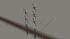 Hauptsignalset (3 fl�gelig) mit Negativfl�gel und Mastanstrich, in 2 H�hen (4)