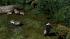 Wo sich Fuchs und Dachs Gute Nacht sagen (1)