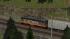 E-Lok Baureihe 1142 (�BB) Hectorrail und Northrail (3)