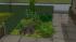 Pflanzen (Garten Set 7) (1)