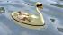 Camping- und Freizeitspa�: Freizeitboote, Ente, Schwan, Flamingo (2)