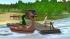 Camping- und Freizeitspa�: Freizeitboote, Ente, Schwan, Flamingo (3)