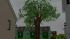 B�ume Set 1 (1)